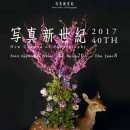 ㈜신세기 이미지