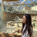 서천-2 | [서천여행] 에코리움 서천 국립생태원 후기 - 2년만에 재방문 함 서천 애들이랑 갈만한 곳 관람 꿀팁...