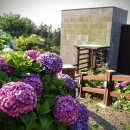 제주에코스위츠 이미지