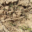 백련가든 이미지