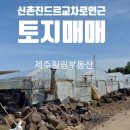 신촌진드르교차로