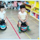 꼬마대통형 이미지