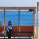 바우목장 이미지