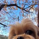 갈뫼어린이공원 이미지