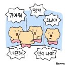 오늘의 분위기 이미지