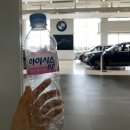 땡벌딜리버리 | BMW 드라이빙 프로그램 온로드(On-Road) MINI JCW 예약 및 체험 후기