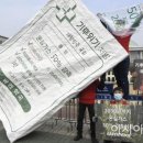 그린피스약국 이미지