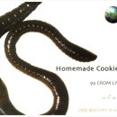 장어의꿈 이미지