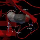 (주)한국파마 이미지
