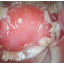 닥터리즈 여성의원 이미지