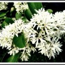 이팝미용 이미지