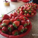 환이네농장 이미지