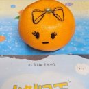 마야유치원 이미지