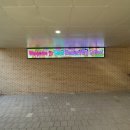 세미초등학교 이미지