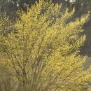 기분 존 이미지