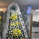 금사동1호 네이버블로그