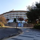 관산리1호 이미지