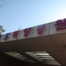 덕포백양공원 이미지