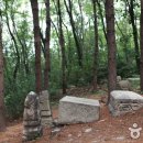 포레스트 12 자연휴양림 이미지