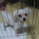 제일종합동물병원 이미지