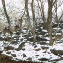 처인농장 이미지