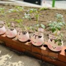 양문어린이집 이미지