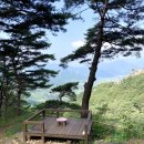 숲의하루 이미지