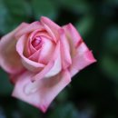 수락산역3번출구 이미지