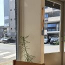 제주 노형 카페 추천｜핸드드립 원두가 다양했던 커피콜라주 후기