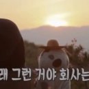 서래케이크