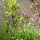 (주)큐라이트 이미지