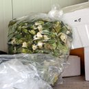 김삿갓농장 이미지