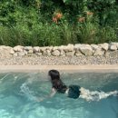 어푸어푸 이미지