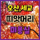 오산 세교 띠앗머리 미용실