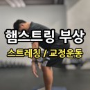왓어무브 이미지