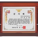진해상패타월