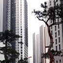 르엘 - 서구 시청서편로4번길 11-6 | 잠실 르엘 임장 후기,실거주하기에 어떨까