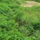 당목리목장 이미지