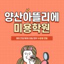미용일가