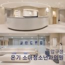 압구정온기소아청소년과의원 네이버블로그