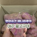 하루카 | 영양공간 여주 베니하루카 꿀고구마 후기