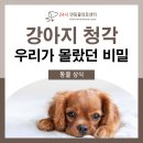 24시연동물의료센터 이미지