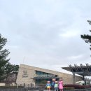 바니베어뮤지엄 | 경주 보문단지 아이와 가볼만한곳 바니베어뮤지엄 실내 관광지 후기