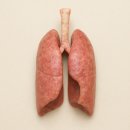 금단 | 금연 1년차 금단현상 후기 느낀점