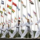 비상태권도 이미지