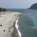 와현해수욕장(서) | 거제 | 봄에 가볼만한 곳 | 수선화 | 공곶이 방문 후기