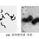 순천시미생물센터 이미지