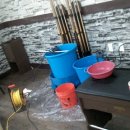 미스 당구장 이미지