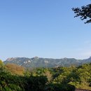 능금농장2 이미지