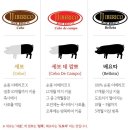 엘이베리코 압구정점